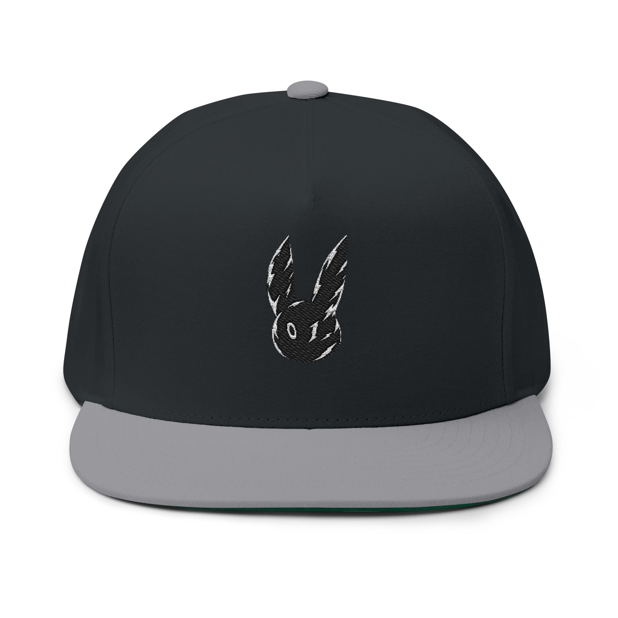 Entity Embroidered Hat