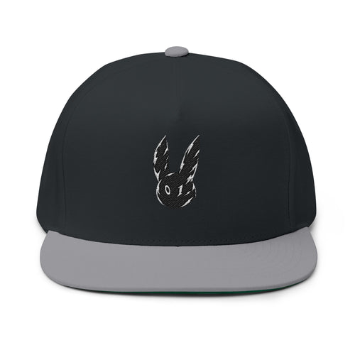 Entity Embroidered Hat