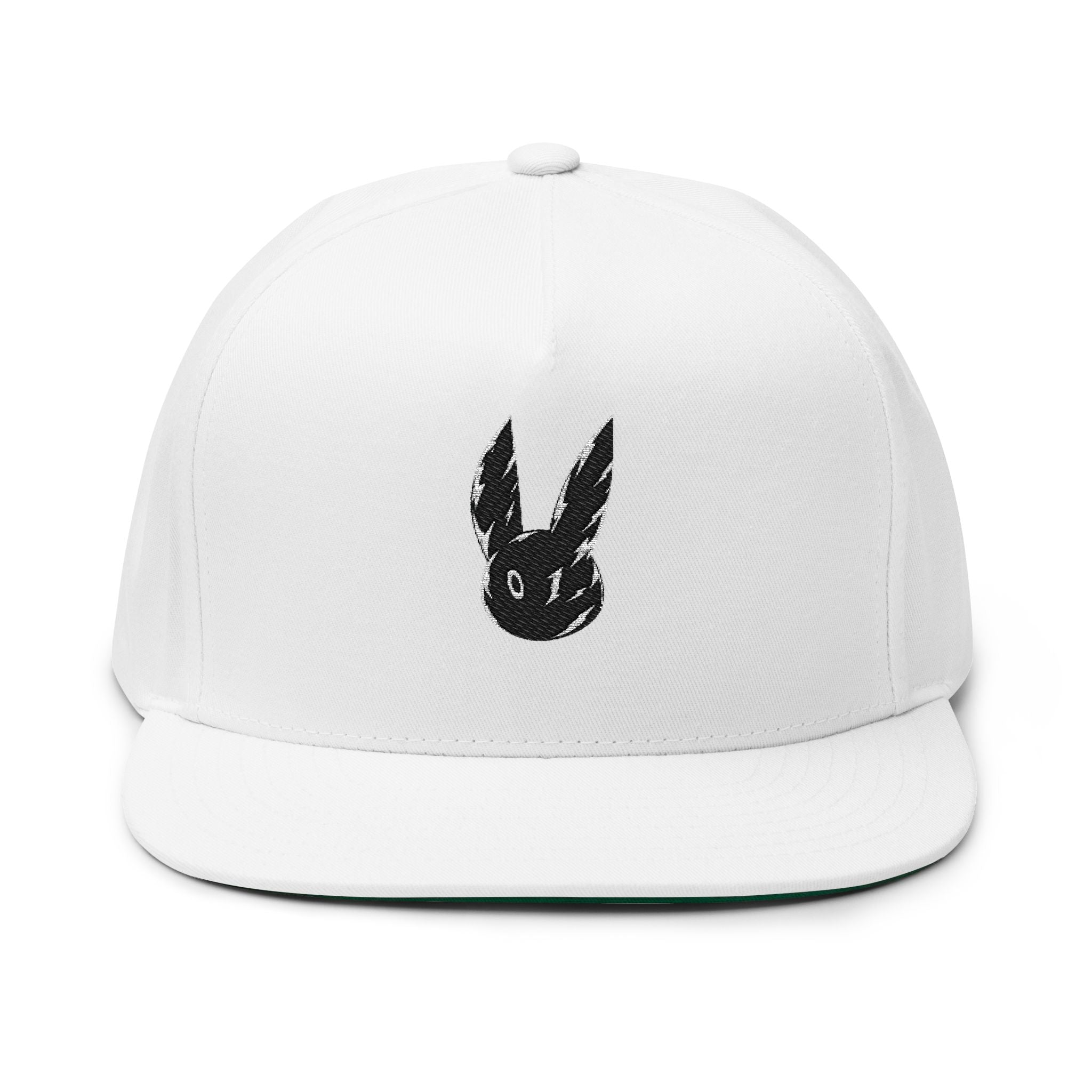 Entity Embroidered Hat