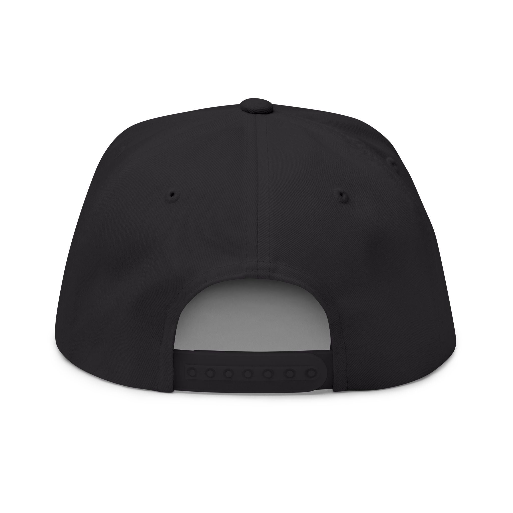 Entity Embroidered Hat